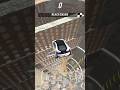 #car #cartoonvideo #toys car games pc , car games vr , car games ios , car games ps4 , car games p