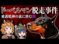 【木更津】ドーベルマン脱走事件|愛護精神の裏に潜む本当の問題
