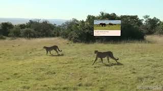 Virtual Tour Guide sample