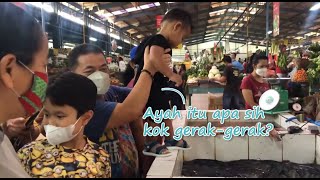 The Babies' Excitement Following Bunda Monica to the Market - FUN FAMILY