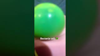 #hantavirus #squishy #hide #needoh #glitterdumpling #cheese HIDE FORM HANTAVIRUS