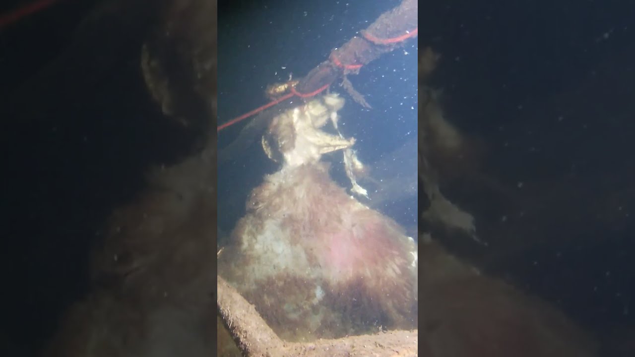 This Was A Creepy Find Whilst Scuba Diving 