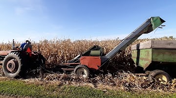 Corn picking 2019