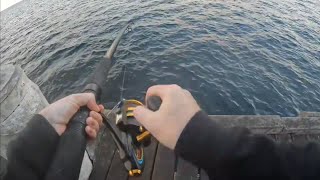 Busselton Jetty- The Fishing spot which never disappoints