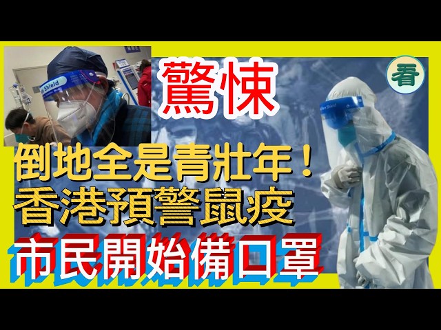 林松博士：驚悚！大陸好多青壯年突然倒地，內蒙古多地疑似爆發鼠疫；在俄華人緊急回國，香港預警鼠疫，市民開始備口罩！沈伯洋「兜巴星」老共！......