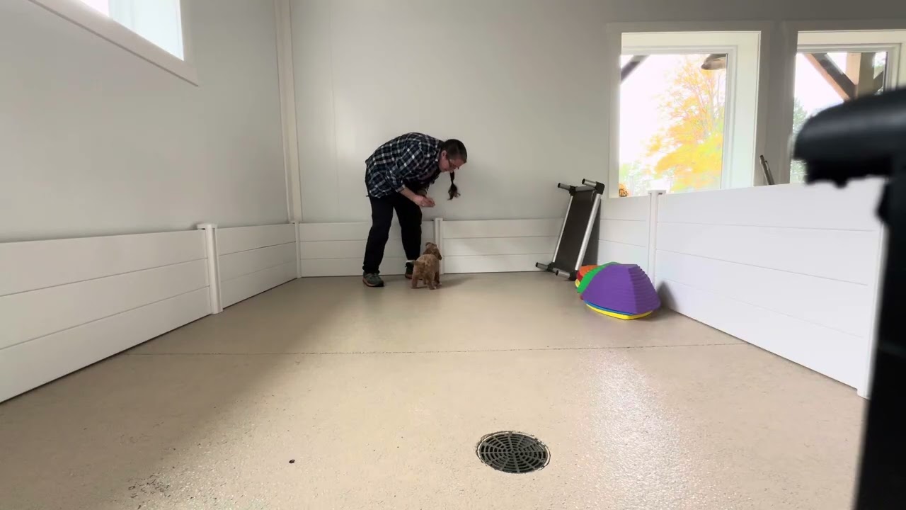 Tobie Training Session - 10/22