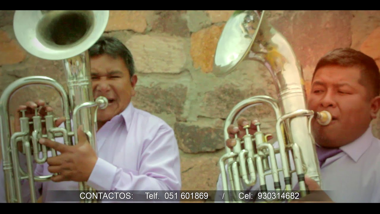 MIX ENLACE BANDA LOS TIGRES DE PUNO