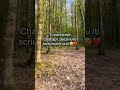 Adv 😅 #adv #fyee #activitate #fyourpage #fyy @kill.Sadness