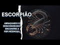 ♏ESCORPIÃO – ABRAÇANDO O DESCONHECIDO, ENCONTRO A MIM MESMO(A).