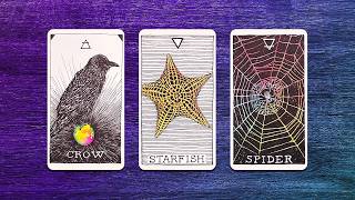 ¿Qué viene en el Amor en Abril? 🥰 Solteros y persona especial 💘💜 Tarot interactivo 💜