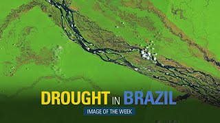 Drought in Brazil (Image of the Week)