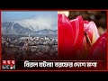 প্রথমবারের মতো মশা পাওয়া গেল আইসল্যান্ডে | Iceland News | Mosquito | Somoy International