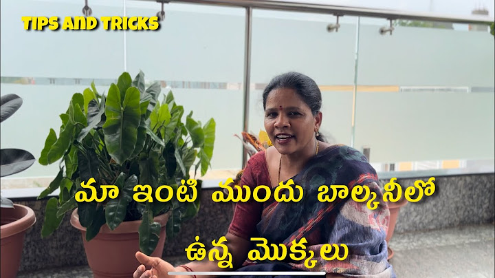 Indoor plants Ela penchukovaki( tips and tricks)