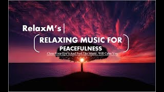 || Relaxing Music | Calm Music | Sleeping Music | Sleep Music | Meditation Music | Relaxing Music ||