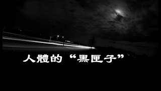201202 人体的“黑匣子”00076