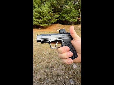 Thoughts about the new SIG .380 LUXE? 👀