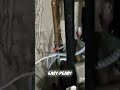 Water Heater Hack: Easy Pipe Removal & Quick Plumbing Tips! #shorts