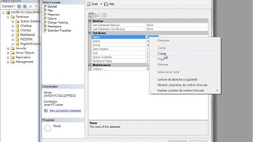(DEMO) CURSO DE CRYSTAL REPORTS CON ASP .NET Y C# - VIDEO 11
