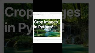 🐍 How to Crop Images in Python 🖼️