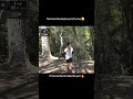 That time almost aced off a tree at dela