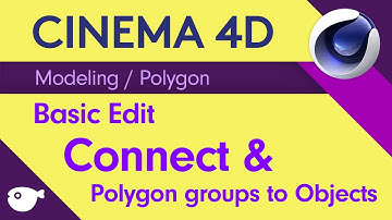 복쌤의 시포디 스터디 ( Modeling / Polygon edit /Connect object )