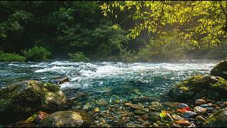Tranquil River ASMR 🌊 Pure Water Sounds – No Rain No Music for Sleep &amp; Stress Relief
