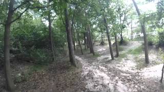 Race Lap - Benelux Race Forest Edition