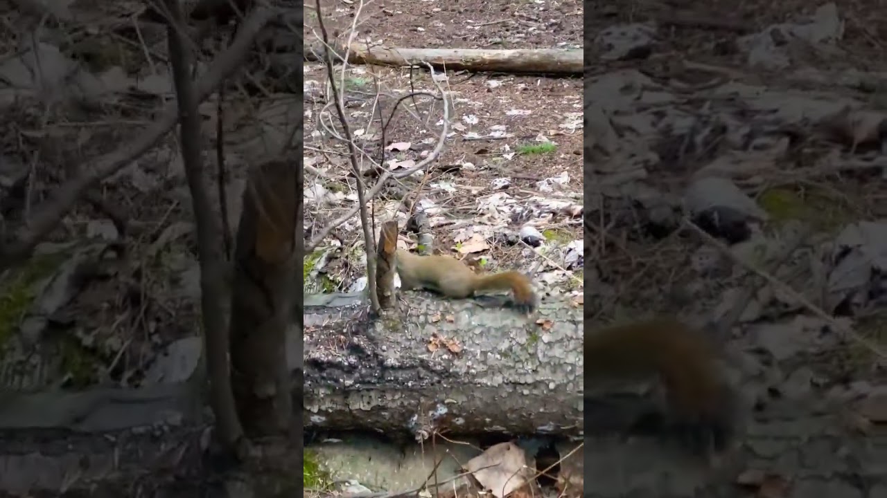 That's close enough buster 