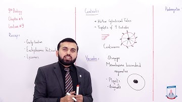 Class 9 - Biology - Chapter 4 - Lecture 9 Vacoule - prakaryotic & eukaryotric Cell - Allied Schools