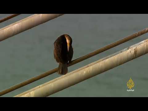 مدينة صور العمانية