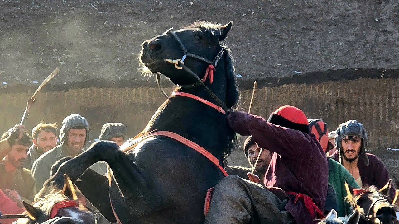 ۸ مارچ ۲۰۲۶