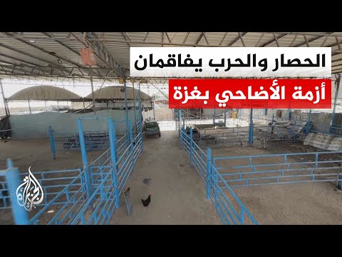 غزة.. غياب شبه تام لأضاحي العيد وأسعار مرتفعة وسط حصار مطبق