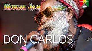 Download Lagu Don Carlos Live at Reggae Jam 2017 MP3