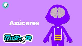 'Tipos de azúcares'