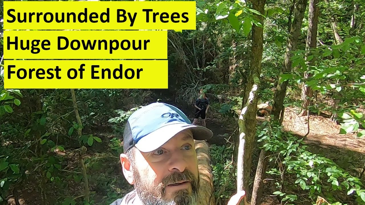 Camping and Hiking in the Deep Woods of East Texas