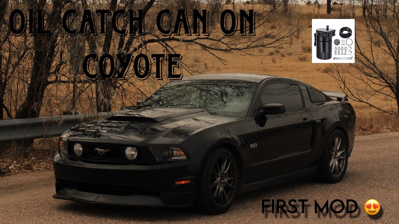 11-14 mustang gt 5.0 universal oil catch can