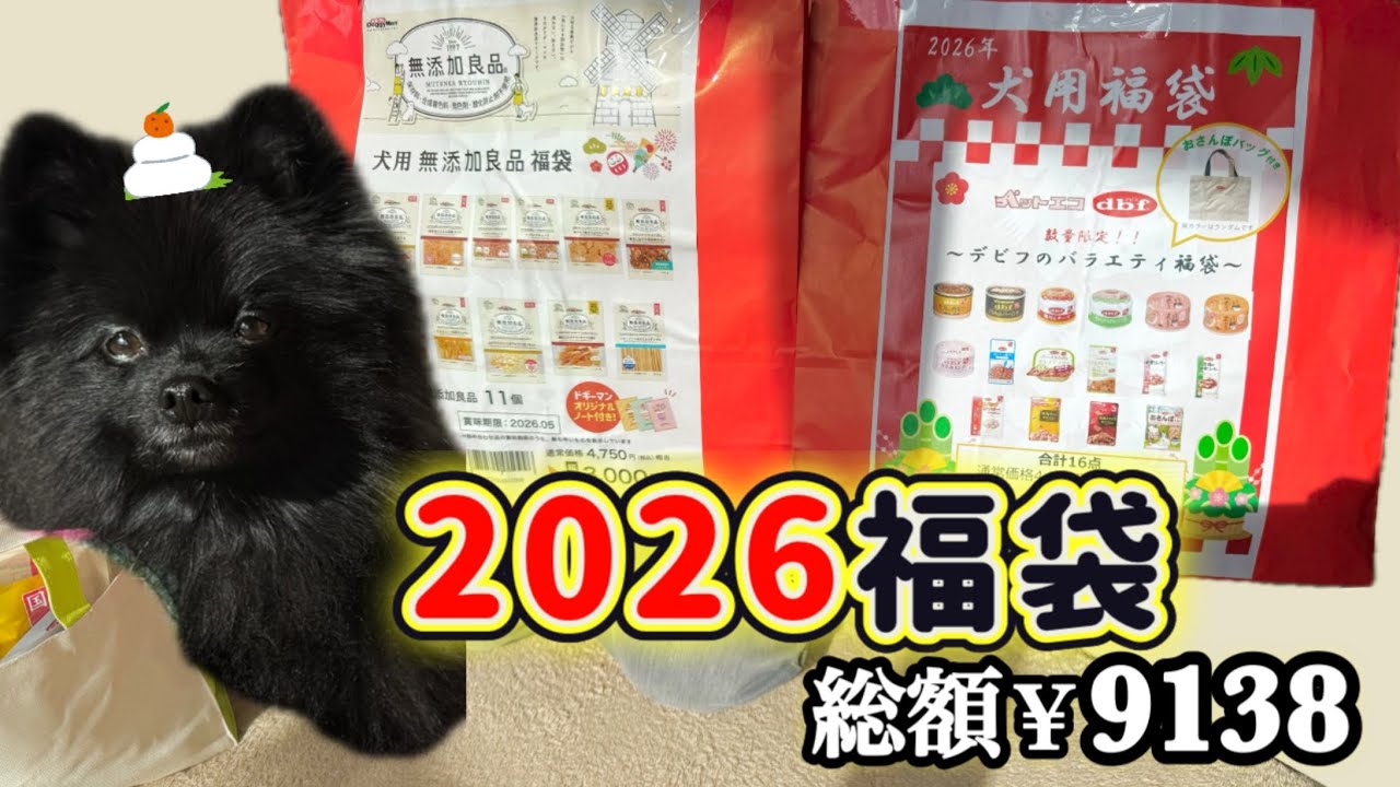 Первым делом в новом 2026 году! Я открыла счастливый мешочек вместе со своей собакой.