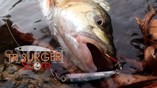 SMITH TR Surger Score