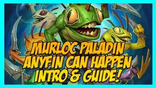 Hearthstone Murloc Paladin / Anyfin Can Happen OTK Deck Guide & Introduction