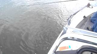 Cedar Lake Lodge Ontario Muskie Fantastic Oops