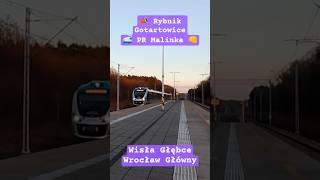 Pociąg Malinka z RP1 przez Rybnik Gotartowice #pociągi #pkp #rybnik #polregio #rp1 #foryou #train