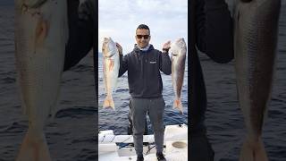 ΔΕΙΤΕ ΤΡΑΒΗΓΜΑ🎣🛥️#fishing #fish #ψάρεμα #fishboat #boat #dentex