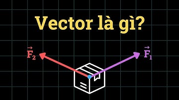 Bản chất VECTO và ứng dụng trong VẬT LÝ | Vật Lý Chill