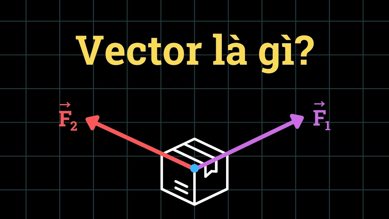 Bản chất VECTO và ứng dụng trong VẬT LÝ | Vật Lý Chill