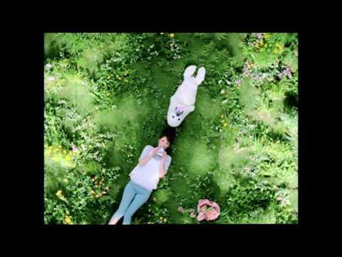 佐々木希 ロッテ クーリッシュ 公園篇