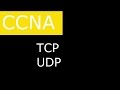 TCP и UDP