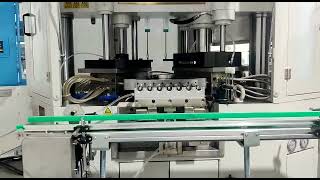 Radcom packaging  HDPE Blow Machine at Silvassa plant