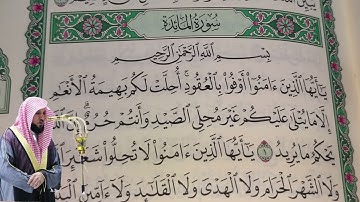 ماهر المعيقلي - سورة المائدة (5) بجودة عالية - Maher Al-Muaiqly - Surah Al-Ma'idah [5]
