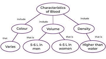 How to use concept mapping