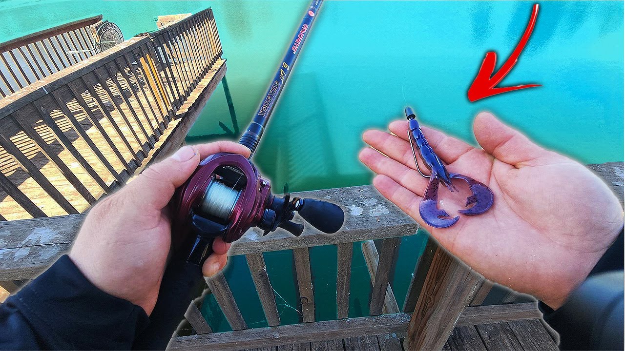 This is what FALL FISHING Is all about || CATCHING  GIANT Bass IN A FARM POND!